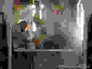 dsc05197