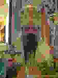 dsc05421