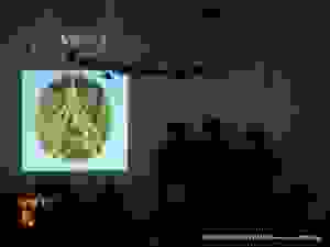 dscn9043
