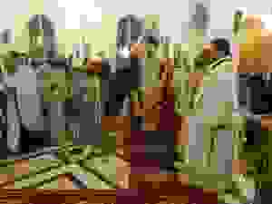 dsc06004