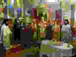 dsc06354