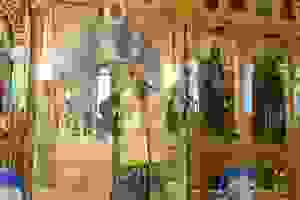 dsc_6100