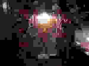 dscn9084