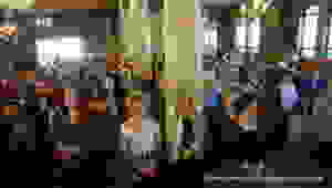 DSC00291
