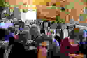 DSC_6512