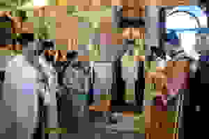 DSC_6516