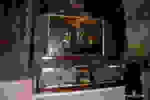 DSC_8025