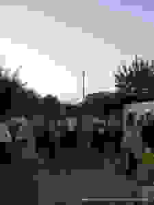 DSC07081