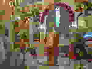 DSC09953
