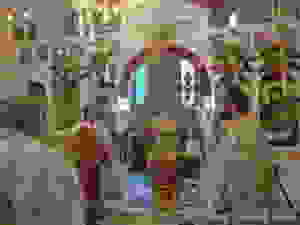 DSC09961