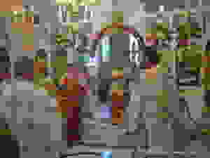 DSC09964