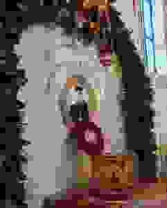 20170702_074910