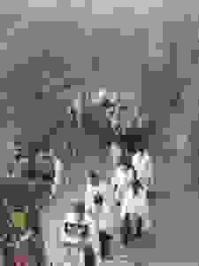 20170702_195959_resized