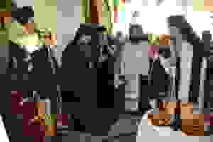 esperinos (18)