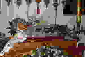 DSC03260