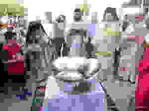 DSC07233