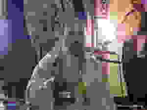 DSCN9938