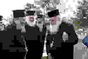 DSC_0913