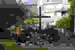 DSC_8527
