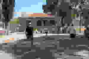 P1050026