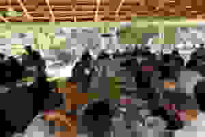 P1050588