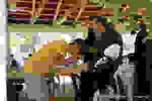 P1050628