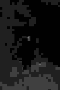+Χ+β+γ+θ+ζ+Σ 005