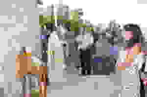 +Χ+β+γ+θ+ζ+Σ 180
