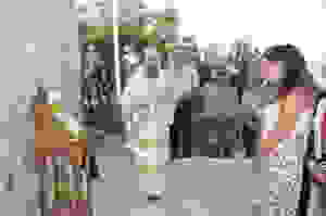 +Χ+β+γ+θ+ζ+Σ 181