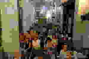 DSC_1754