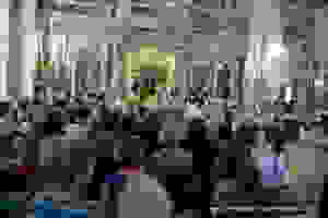 DSC_2052