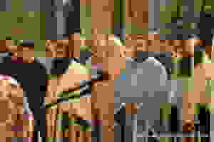 1 (15)