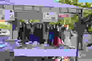 1 (34)