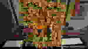 1 (5)