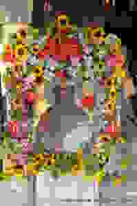 1 (6)
