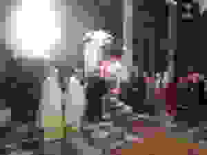 DSCN9773-001