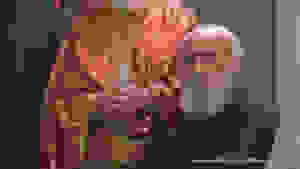 Still1025_00005