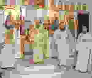 unnamed (45)