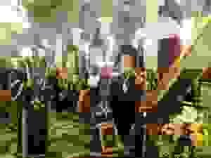 20180403_201845_resized