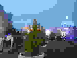 DSCN2975