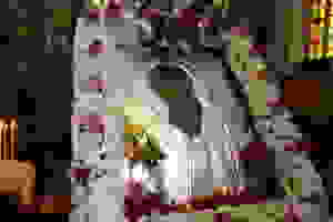 DSC_1303