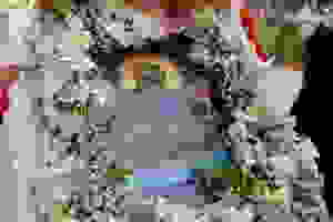 DSC_1306