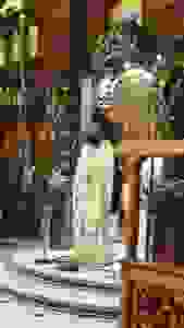 37250272_1859435954077284_2508160355679600640_n