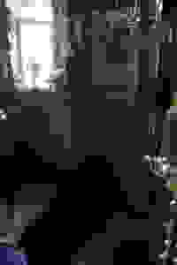C54I5978 2018-09-12 11-53-29