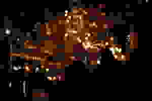 C54I6255 2018-09-12 20-46-12