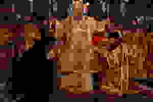 C54I7384