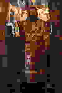 C54I7694