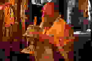 C54I7803