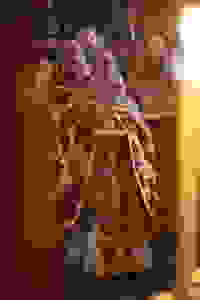 C54I7804