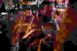 C54I7816